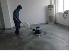 厦门阳桄家政 专业保洁服务，实惠高效，满足家庭与工厂全方位清洁需求